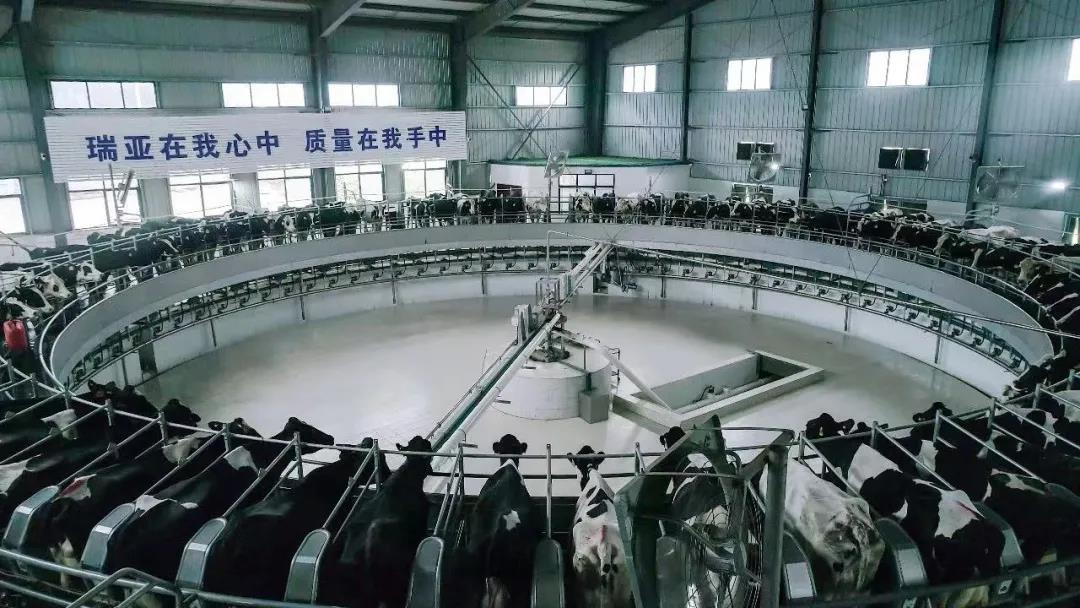 雷火体育·（TF SPORTS）官方网站丨驻马店市遂平县政协党组书记、主席张卫东一行莅临雷火体育·（TF SPORTS）官方网站鲁山瑞亚牧场参观