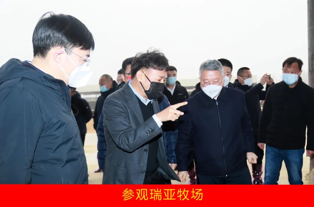 新年开新局 合作促发展丨佳木斯市委常委、副市长闫志刚一行莅临雷火体育·（TF SPORTS）官方网站乳业集团及佳田企业考察座谈