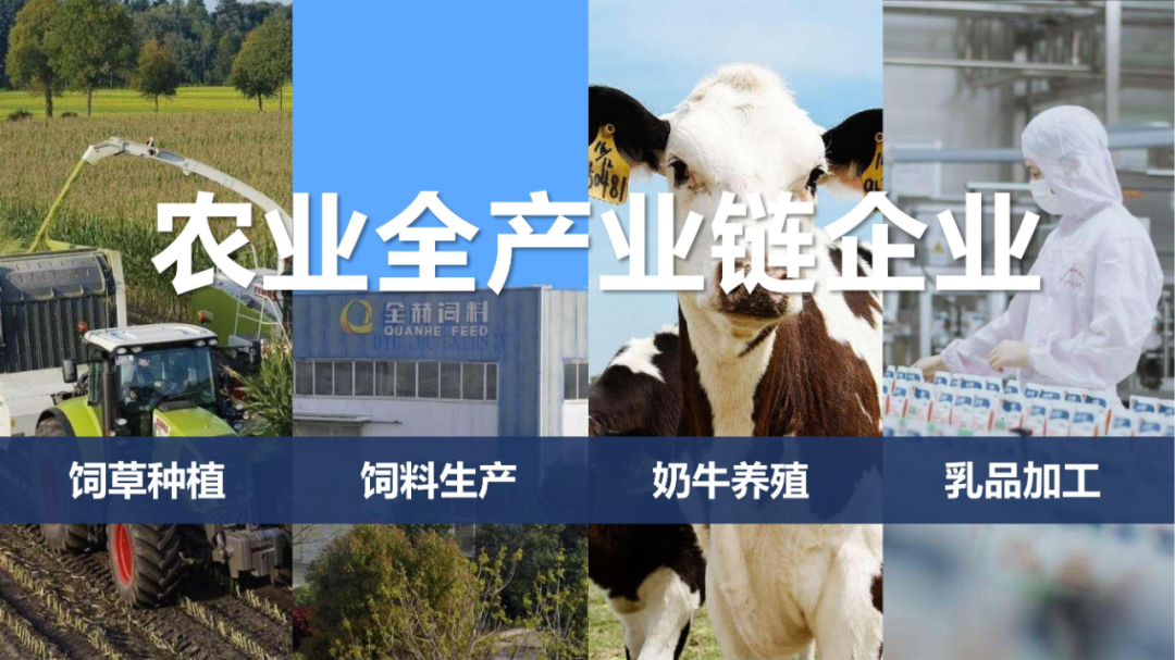 佳木斯市招商考察团莅临雷火体育·（TF SPORTS）官方网站考察座谈