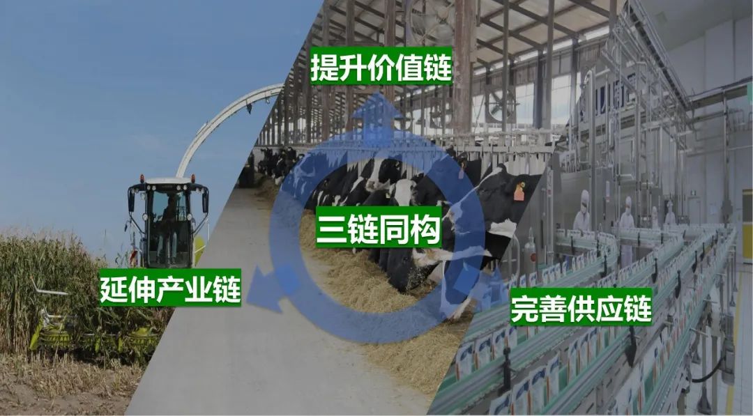 佳木斯市招商考察团莅临雷火体育·（TF SPORTS）官方网站考察座谈