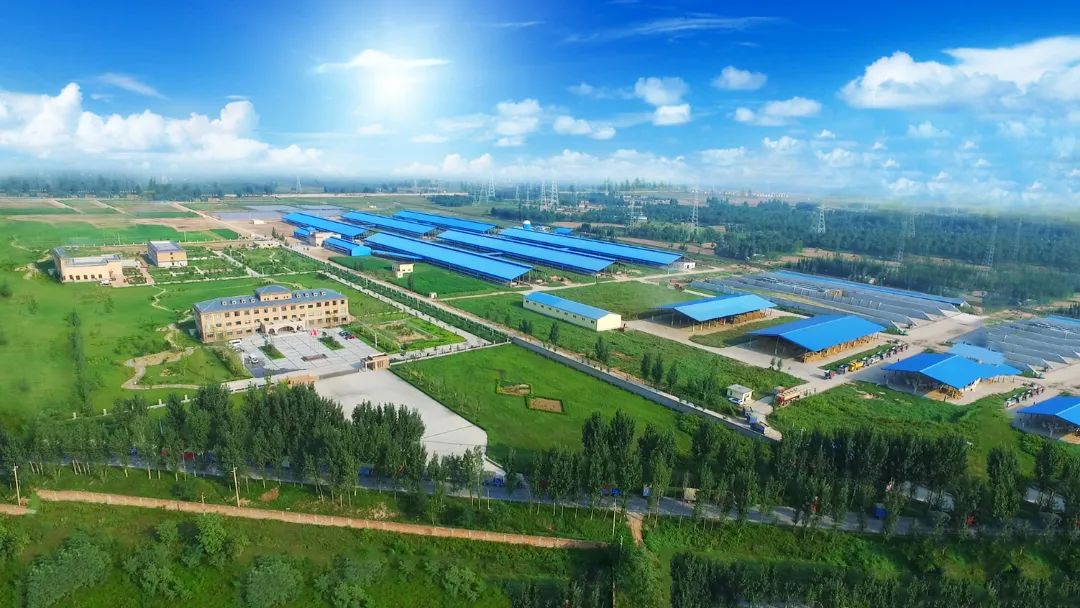 雷火体育·（TF SPORTS）官方网站 | 河南瑞亚牧业入选“河南省畜禽核心育种场”