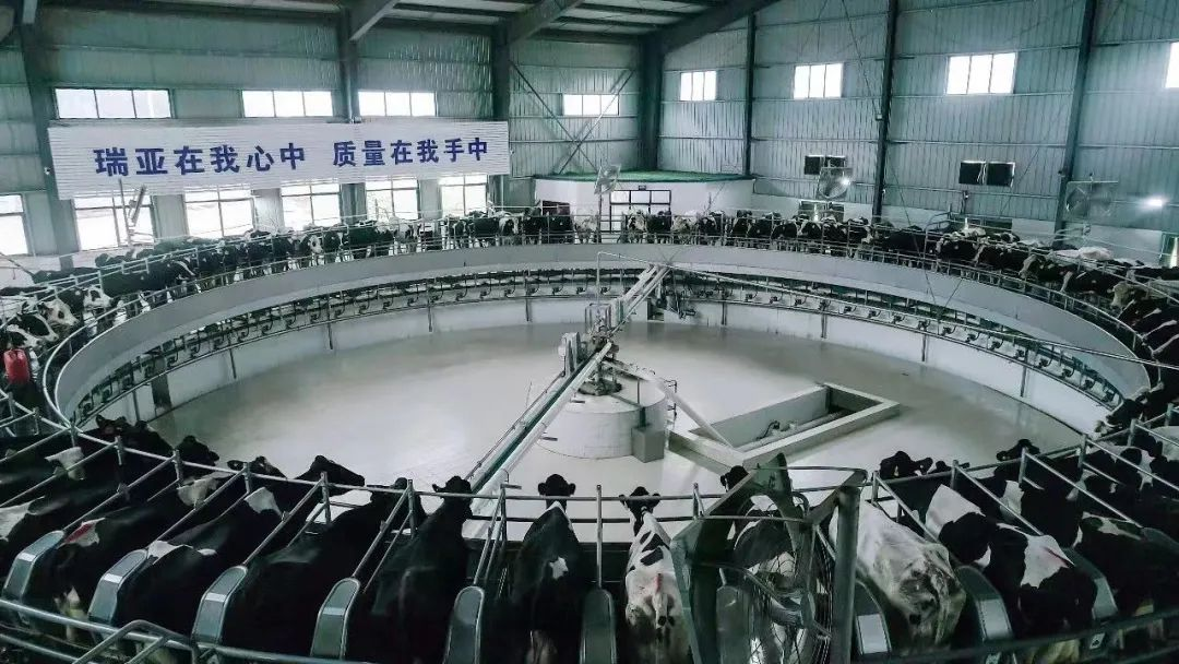 雷火体育·（TF SPORTS）官方网站 | 河南瑞亚牧业入选“河南省畜禽核心育种场”