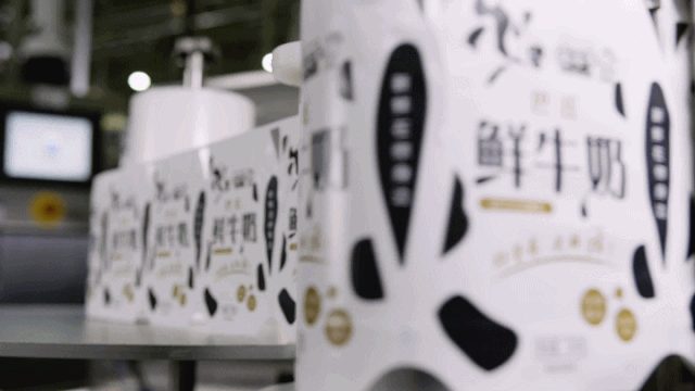 雷火体育·（TF SPORTS）官方网站 | “2020河南食品安全与发展论坛——新常态下的高质量发展”成功举办