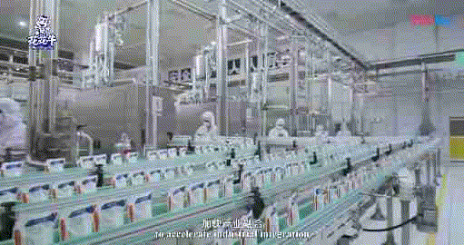 快讯 | 湖北省农业厅副厅长王海涛等领导一行莅临河南雷火体育·（TF SPORTS）官方网站乳业集团参观调研