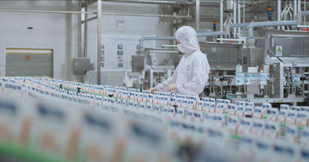 快讯 | 河南省人民政府食品安全委员会办公室第三批食品安全示范区验收组领导莅临雷火体育·（TF SPORTS）官方网站乳业集团验收食品安全示范区建设情况