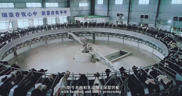 荣誉 | 2019年度河南省美丽牧场名单新鲜出炉 雷火体育·（TF SPORTS）官方网站乳业集团旗下六个牧场榜上有名