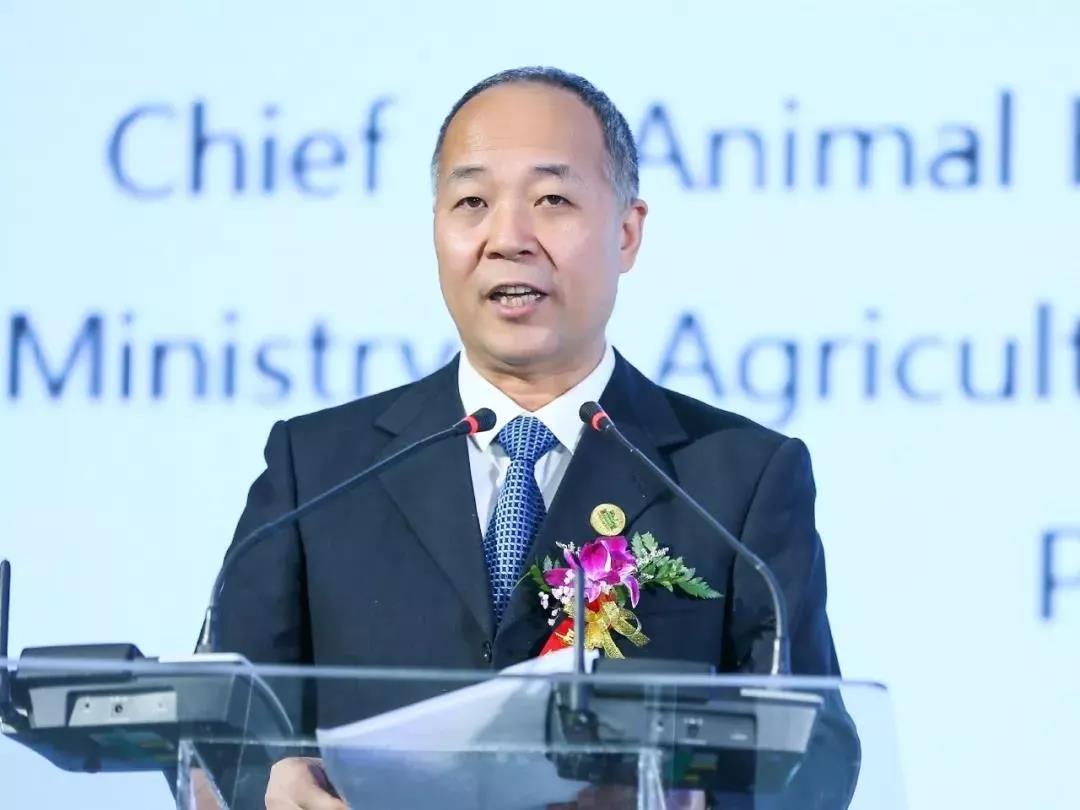 SDDDC走进河南，看看雷火体育·（TF SPORTS）官方网站的国际范儿！