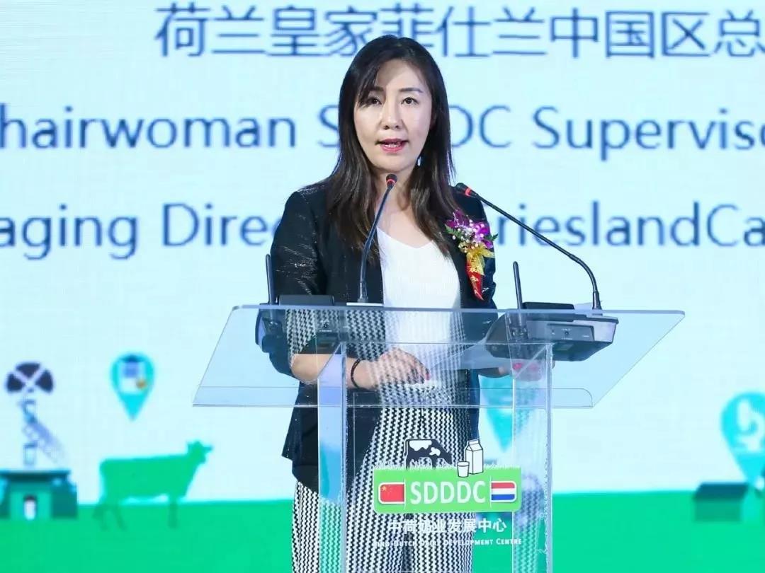 SDDDC走进河南，看看雷火体育·（TF SPORTS）官方网站的国际范儿！