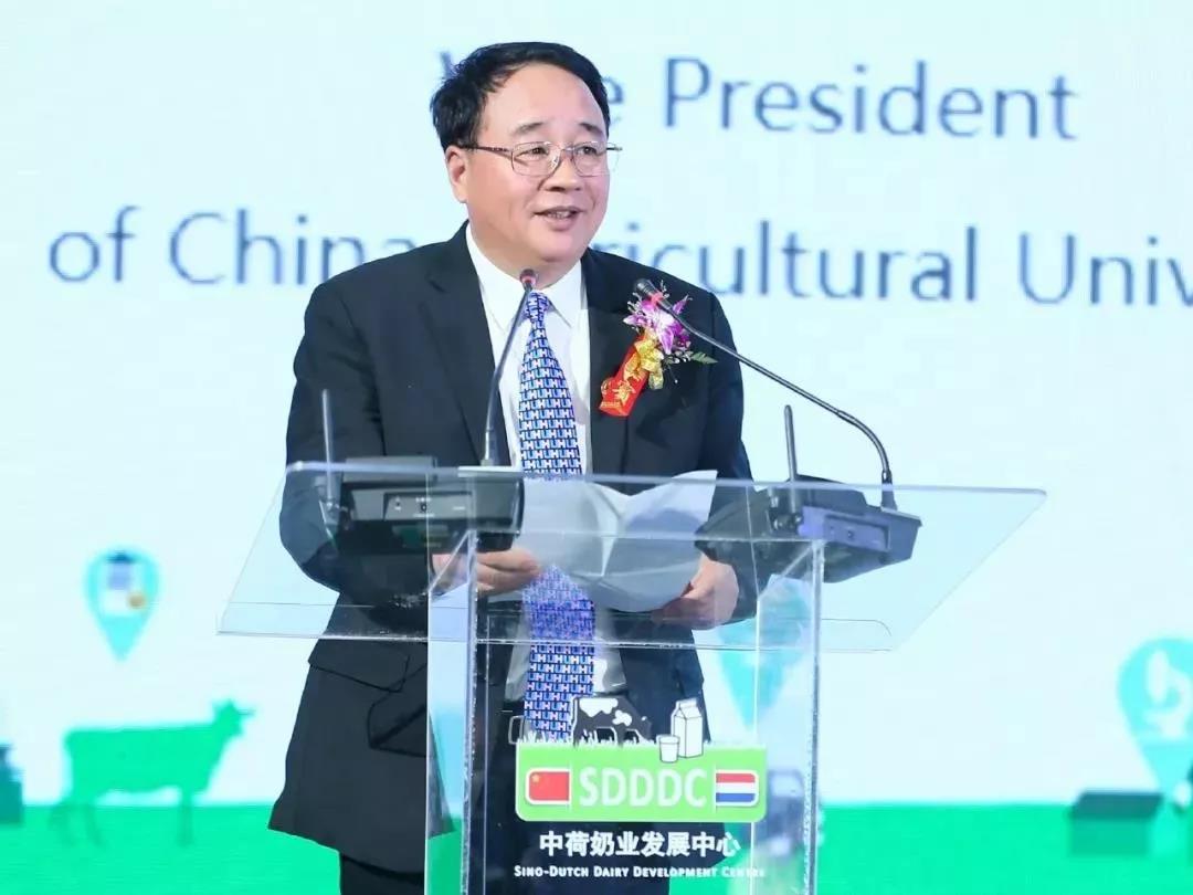 SDDDC走进河南，看看雷火体育·（TF SPORTS）官方网站的国际范儿！