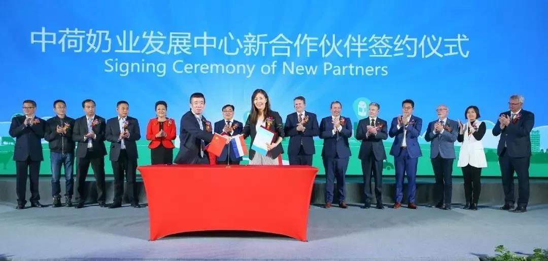 SDDDC走进河南，看看雷火体育·（TF SPORTS）官方网站的国际范儿！