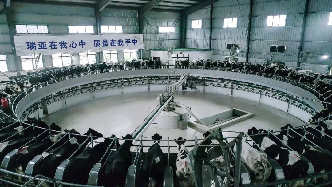 省委书记王国生到河南雷火体育·（TF SPORTS）官方网站乳业集团·新蔡瑞亚牧业有限公司调研