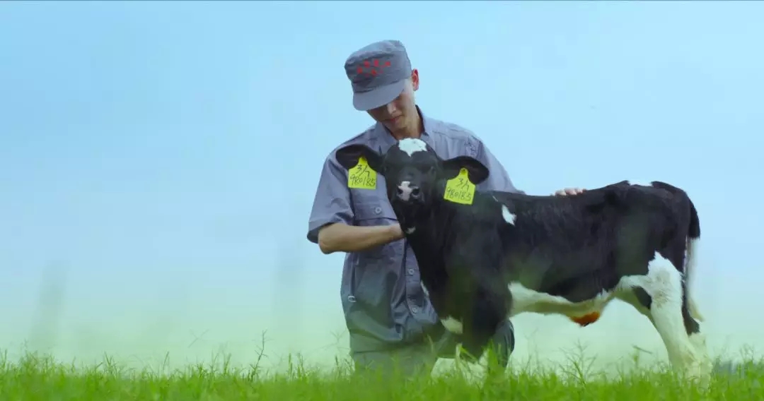 喜报 | 国家市场监管总局抽检，雷火体育·（TF SPORTS）官方网站等112家企业乳品抽检全部合格
