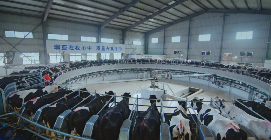 雷火体育·（TF SPORTS）官方网站集团旗下六家公司入选省农业产业化重点龙头企业名单