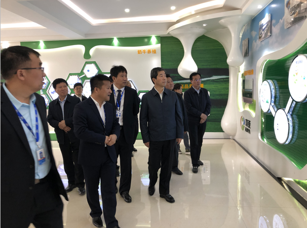 河南省委副书记、省长陈润儿一行莅临 雷火体育·（TF SPORTS）官方网站集团鲁山瑞亚牧业有限公司视察调研