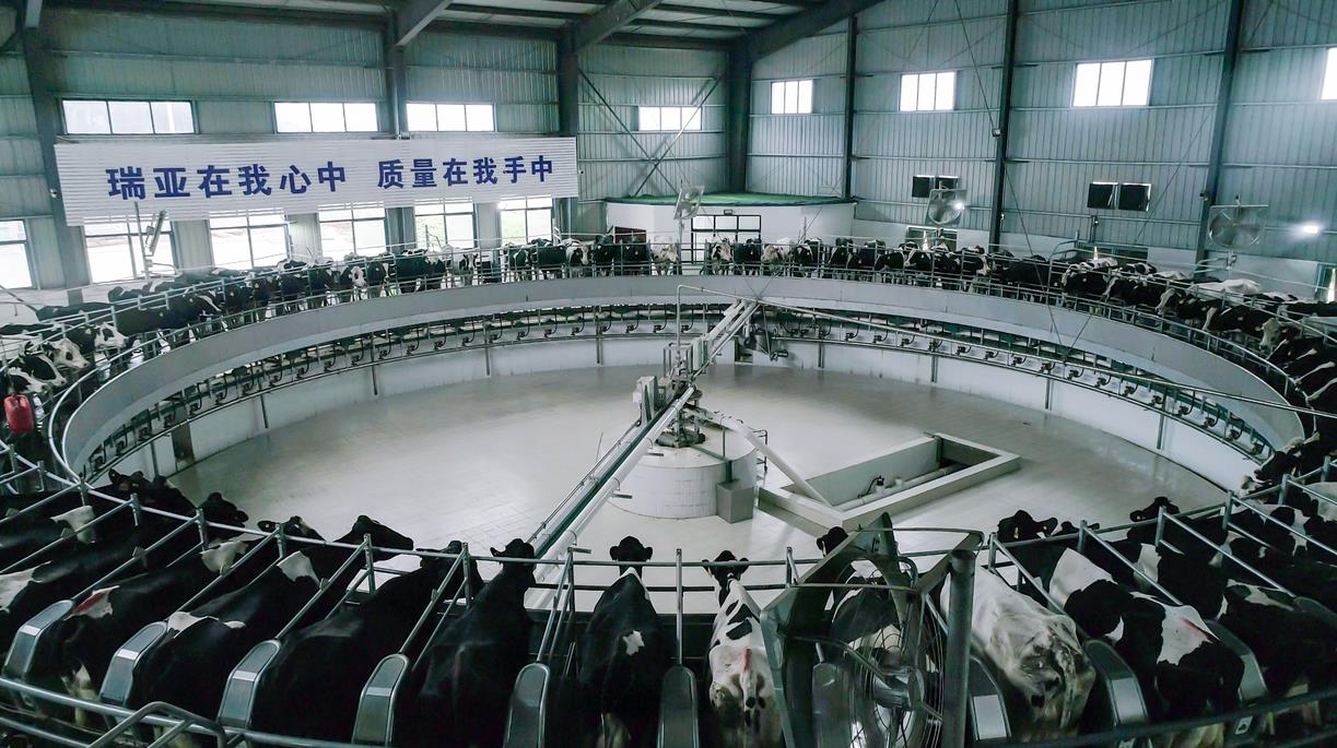 又双叒叕获奖啦！雷火体育·（TF SPORTS）官方网站荣获“乳品质量安全管理 优秀企业”