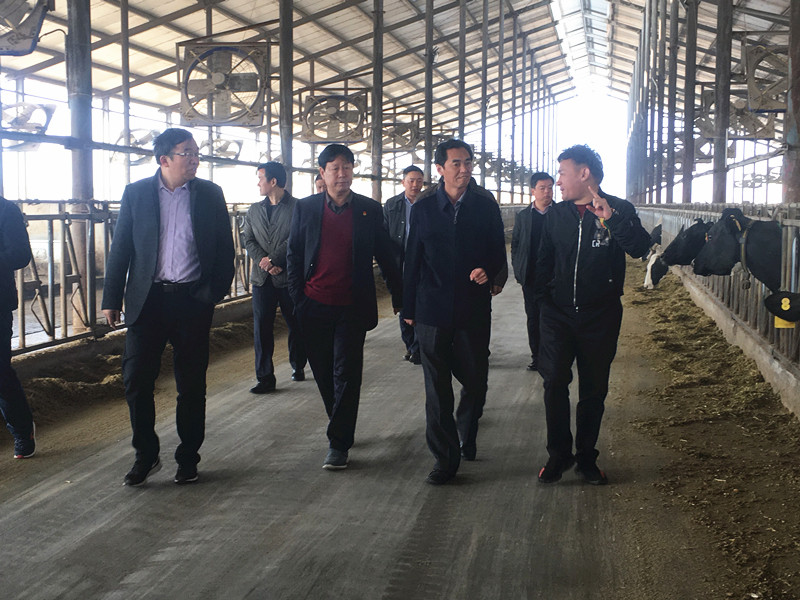 封丘县县长王献臣一行莅临 雷火体育·（TF SPORTS）官方网站集团养殖、乳品事业部参观调研