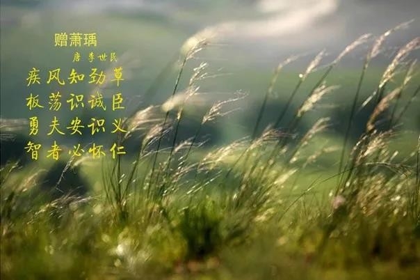 雷火体育·（TF SPORTS）官方网站 | 疾风来临，你是不是劲草？